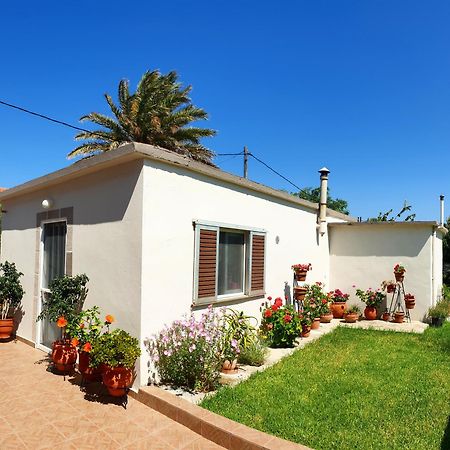 Repanidi Apartment D / Ρεπανίδι Διαμέρισμα Δ Repanidhion Eksteriør bilde