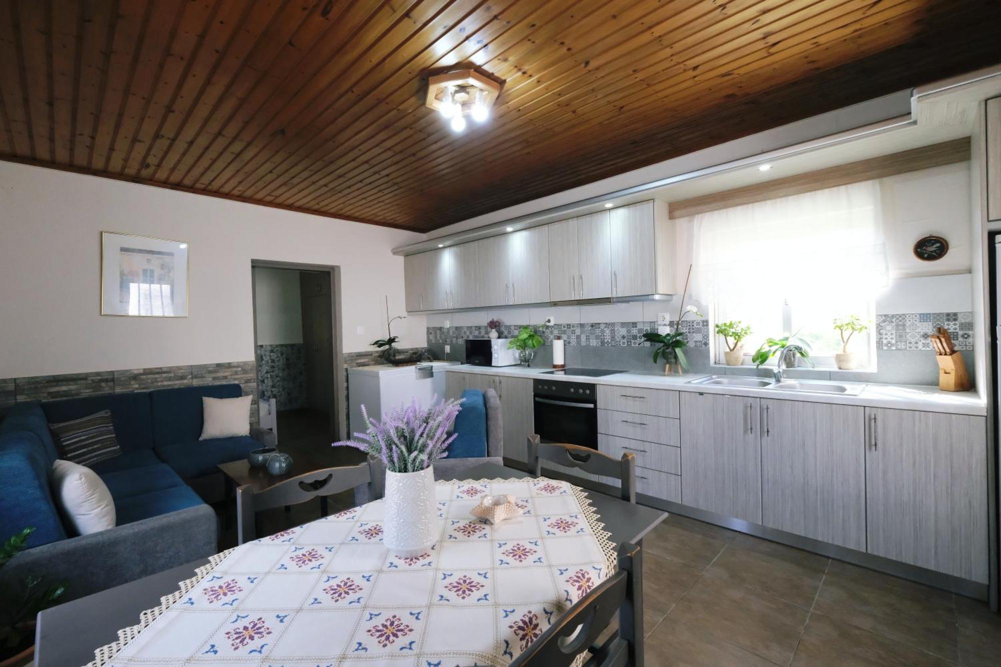 Repanidi Apartment D / Ρεπανίδι Διαμέρισμα Δ Repanidhion Eksteriør bilde