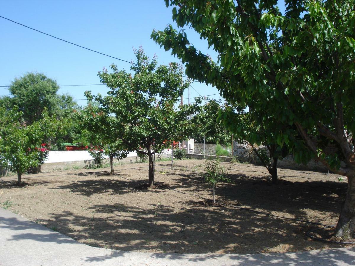 Repanidi Apartment D / Ρεπανίδι Διαμέρισμα Δ Repanidhion Eksteriør bilde